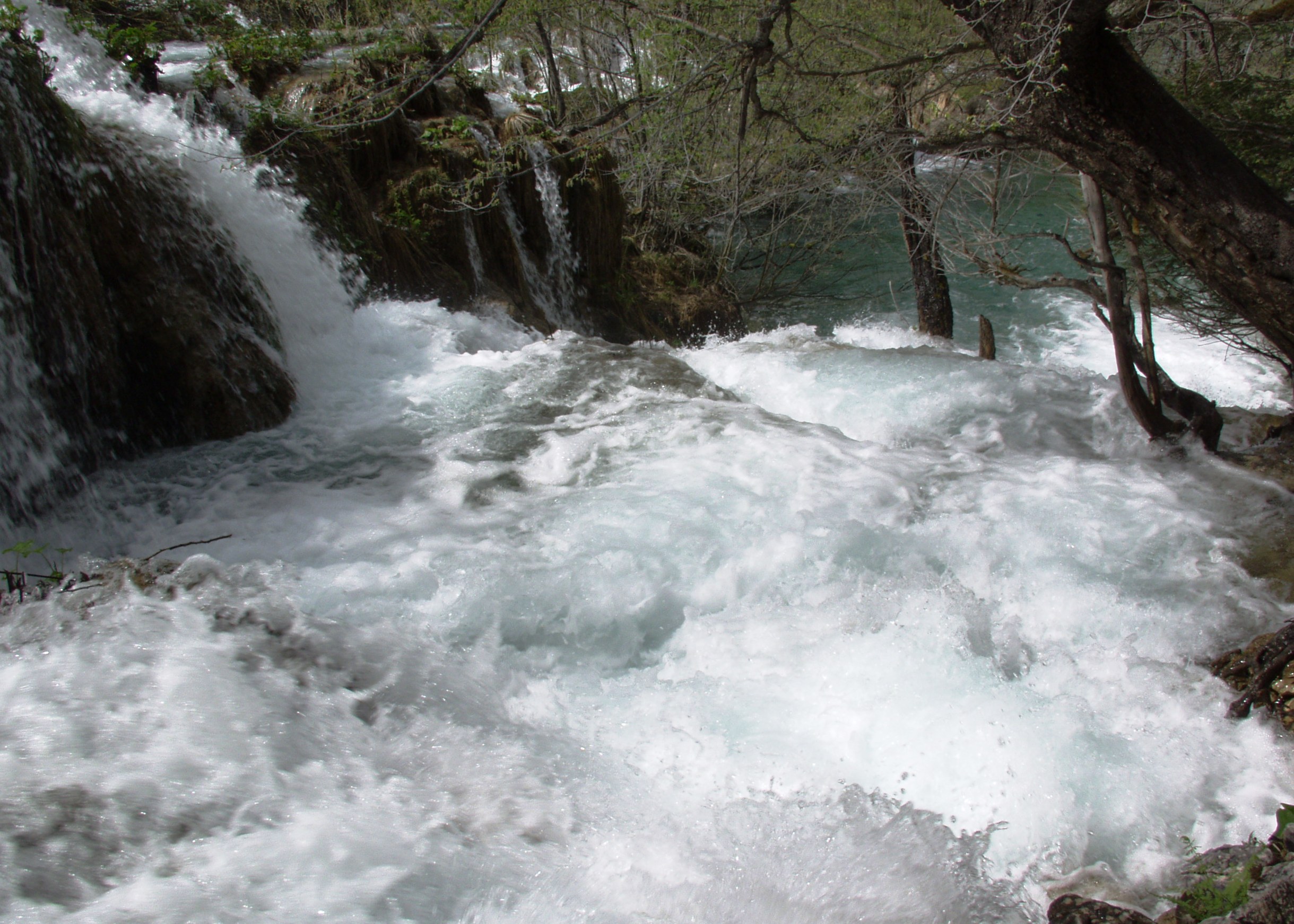 OLYMPUS DIGITAL CAMERA