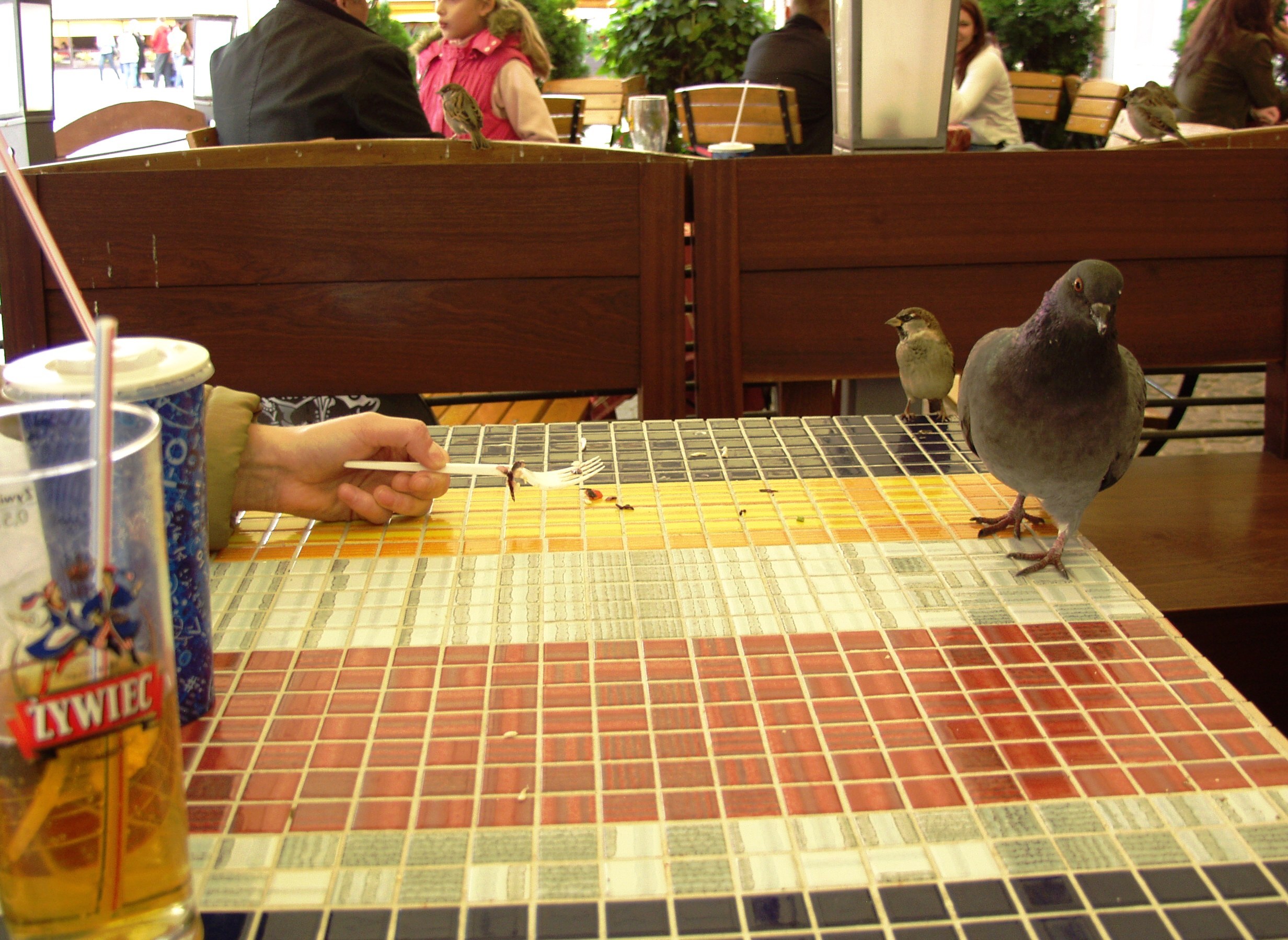 OLYMPUS DIGITAL CAMERA