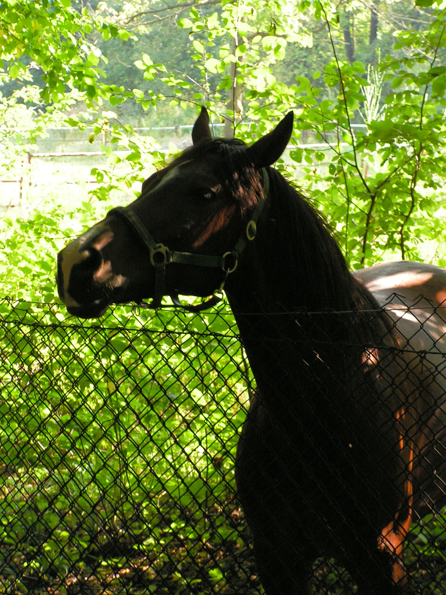 ?????????????????????????????