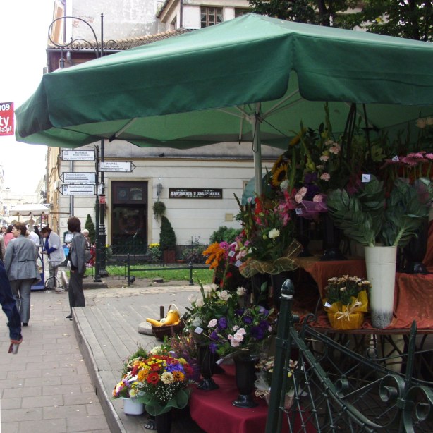 ??????????????????????