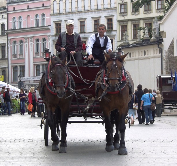 ???????????????????????????????