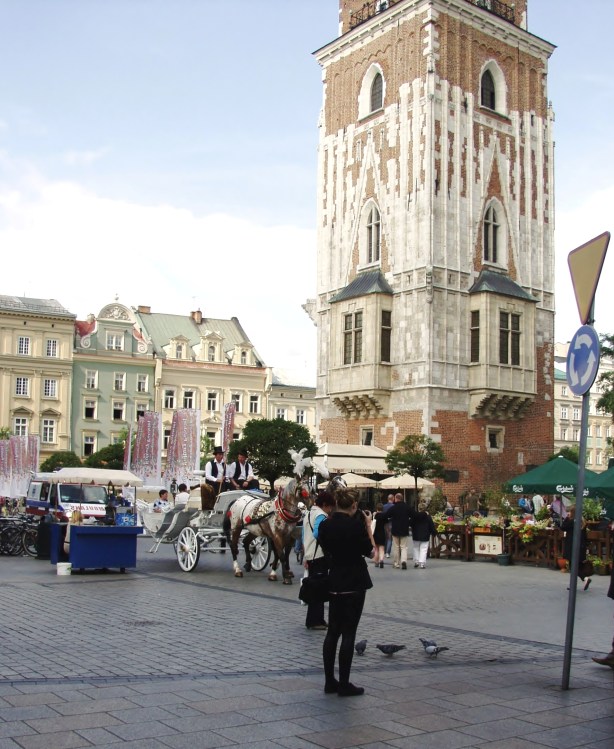 ??????????????????????