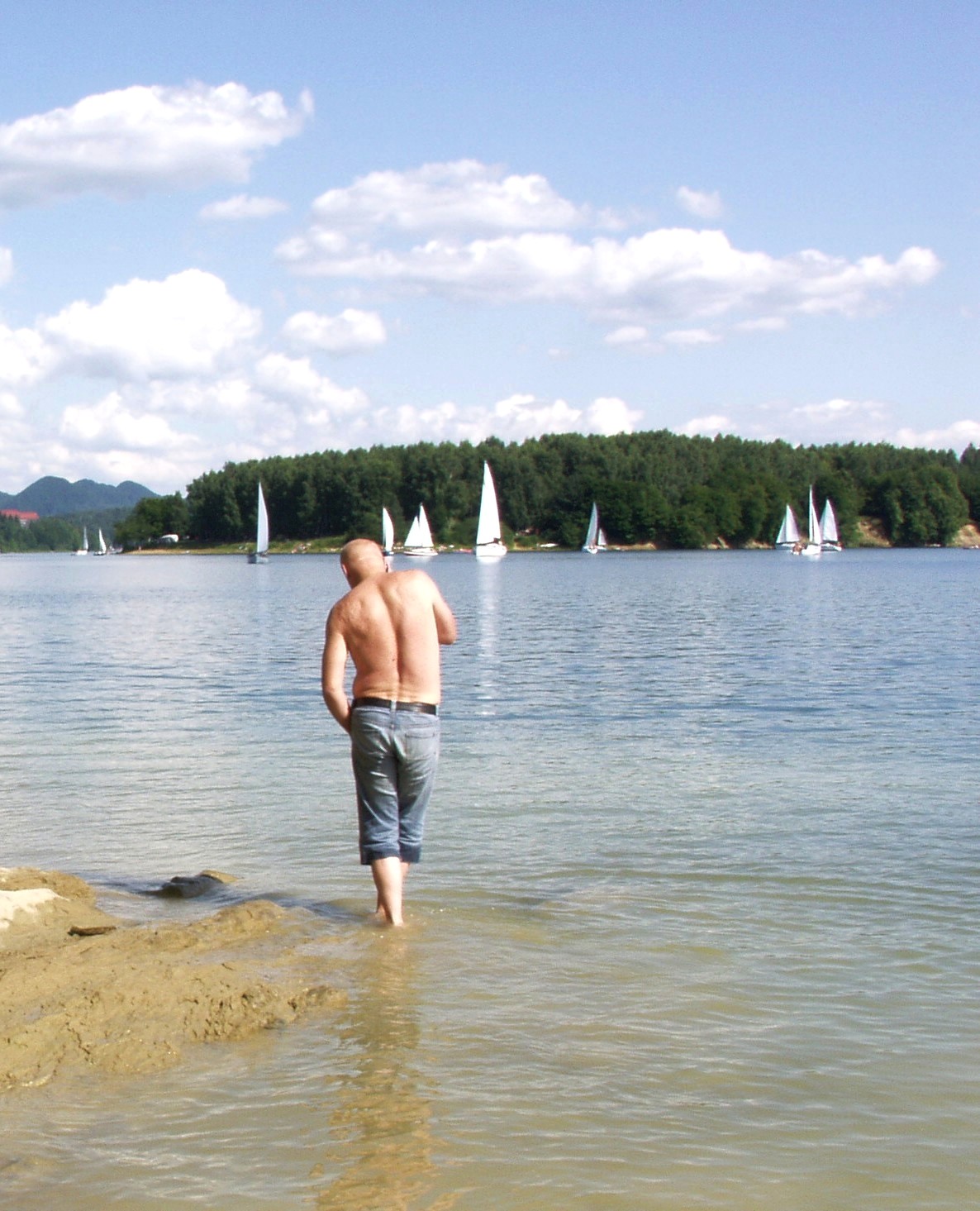 OLYMPUS DIGITAL CAMERA