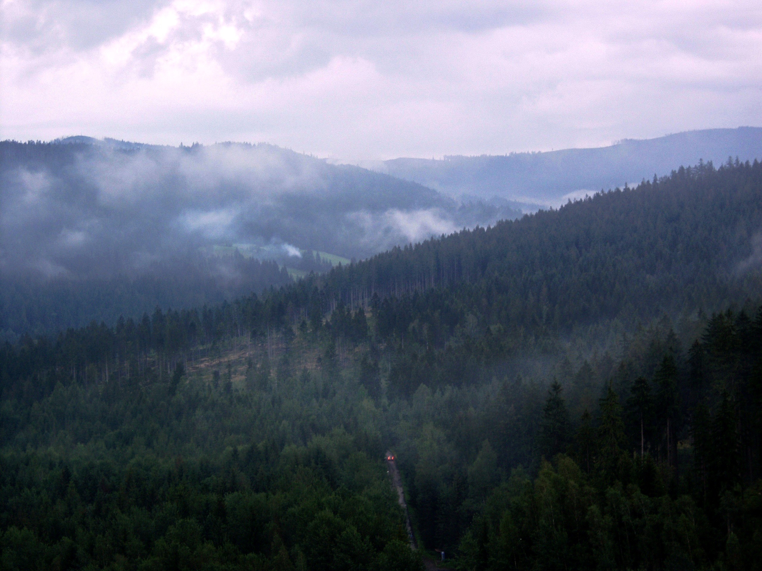 OLYMPUS DIGITAL CAMERA