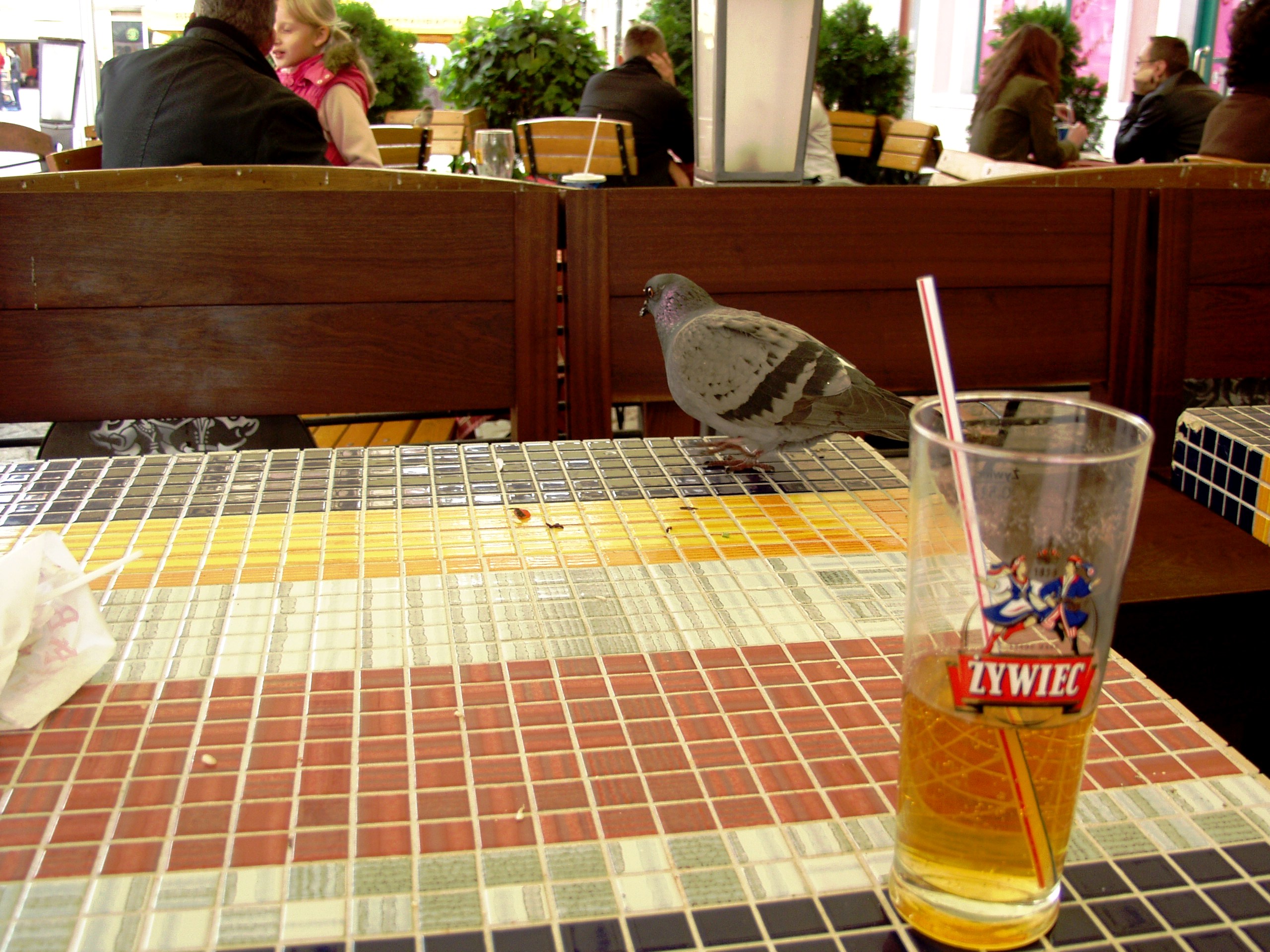 OLYMPUS DIGITAL CAMERA