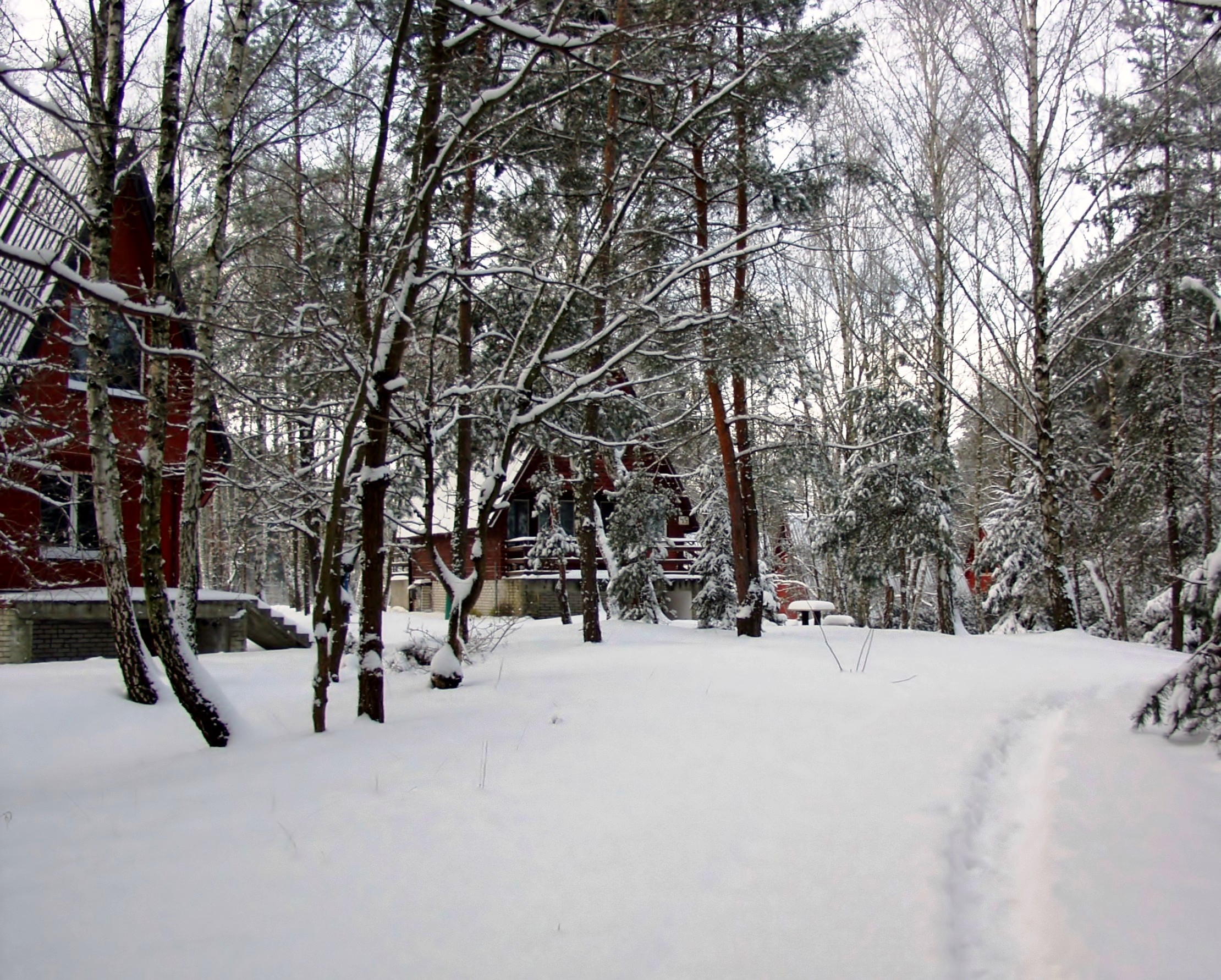 OLYMPUS DIGITAL CAMERA