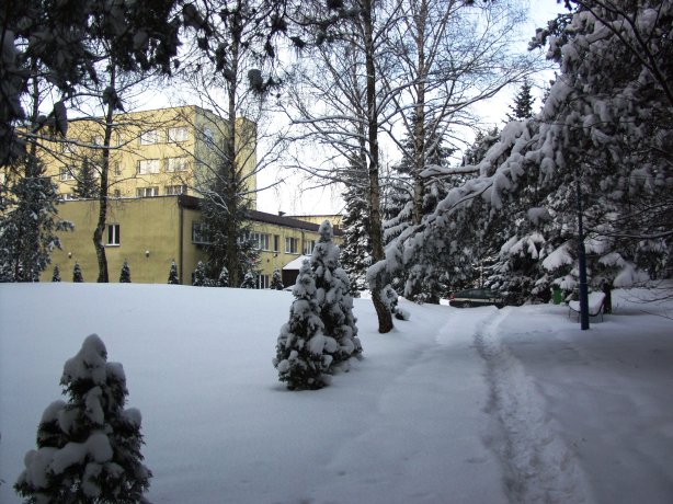 OLYMPUS DIGITAL CAMERA