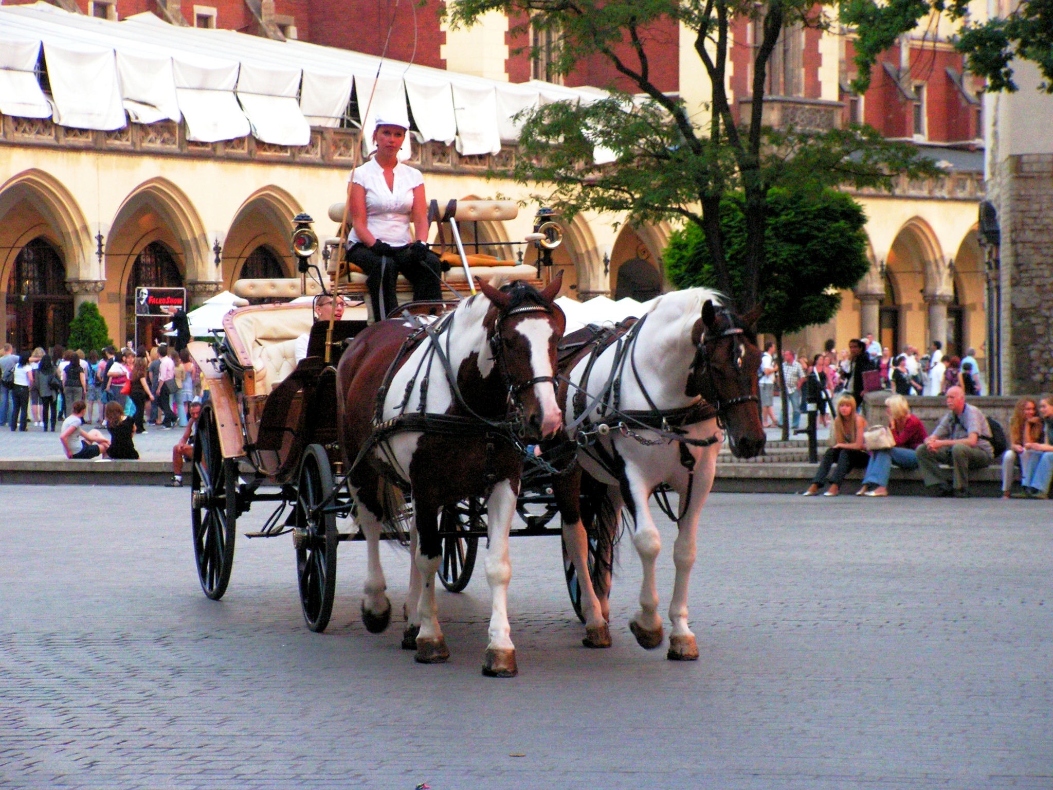 ?????????????????????????????