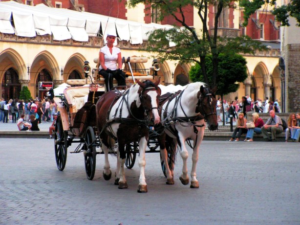 ?????????????????????????????