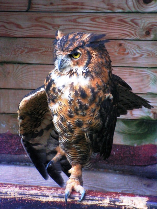 ?????????????????????????????