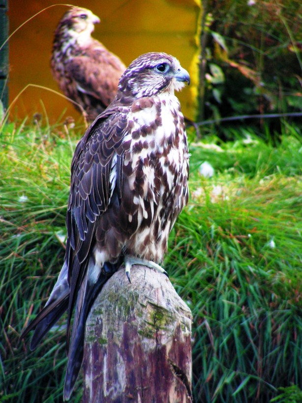 ?????????????????????????????