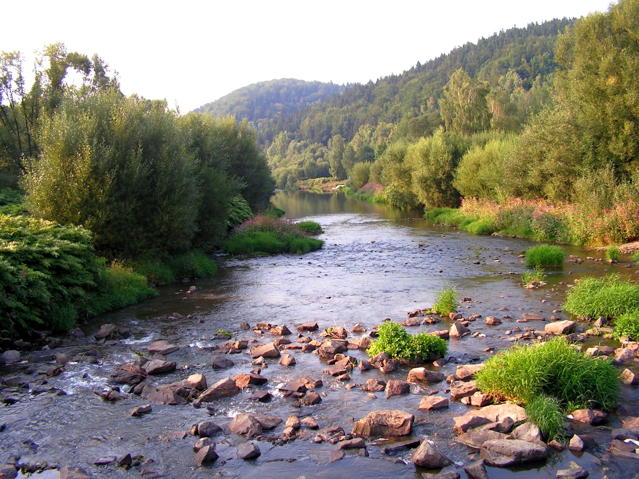 ?????????????????????????????