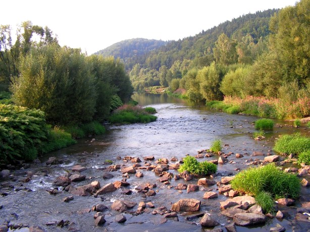 ?????????????????????????????