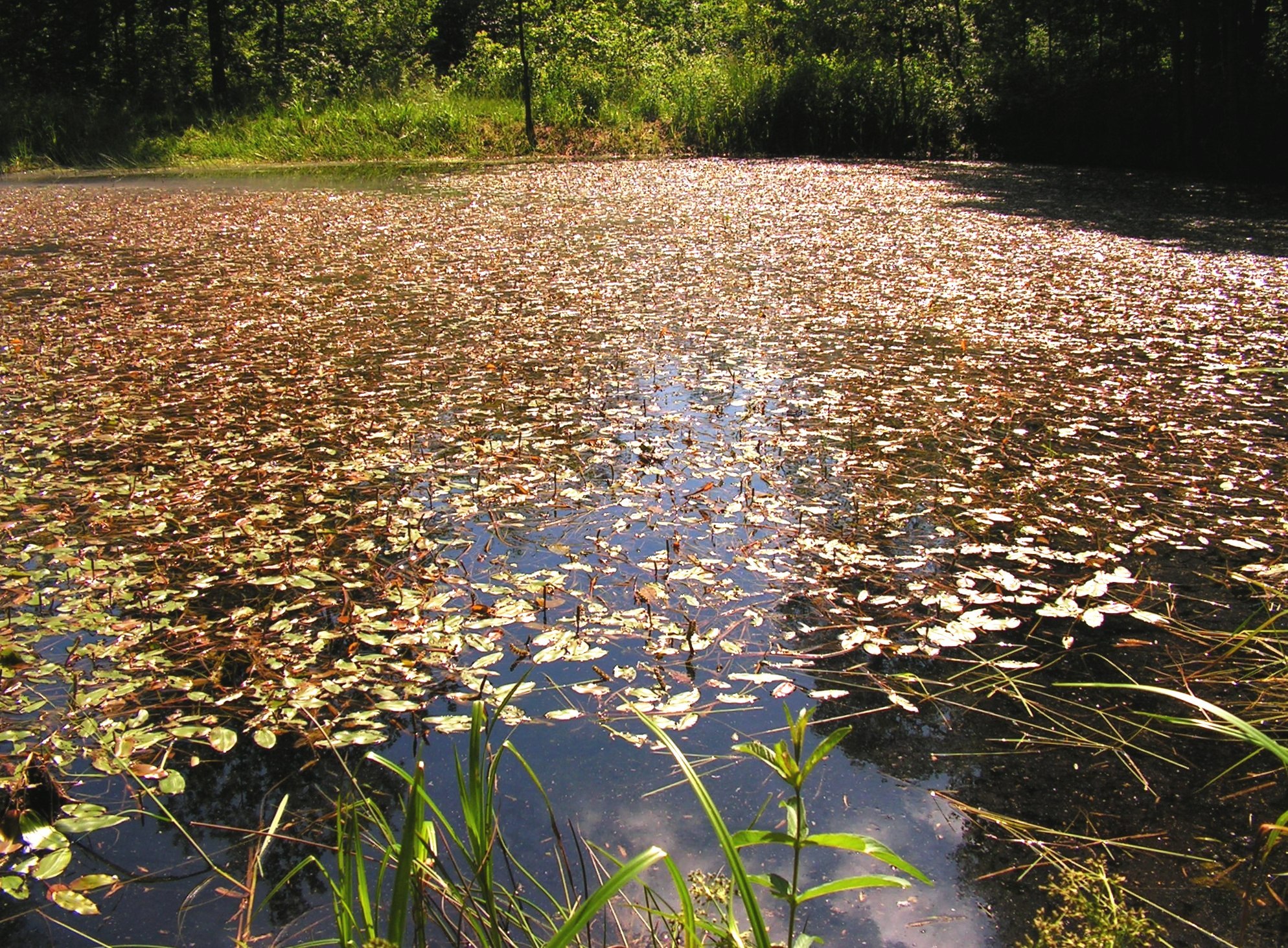 ?????????????????????????????