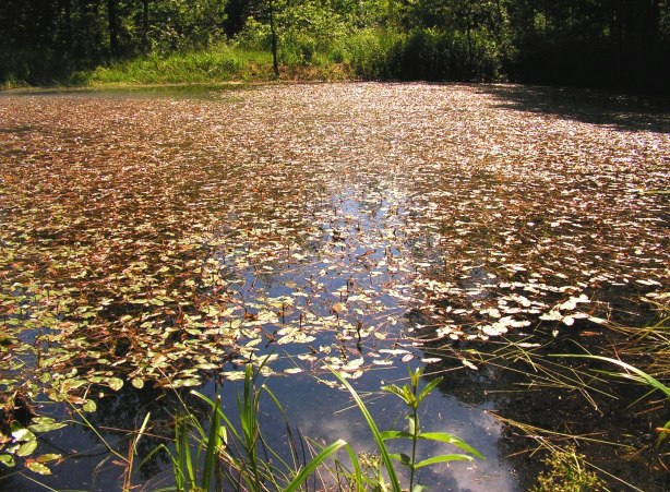 ?????????????????????????????