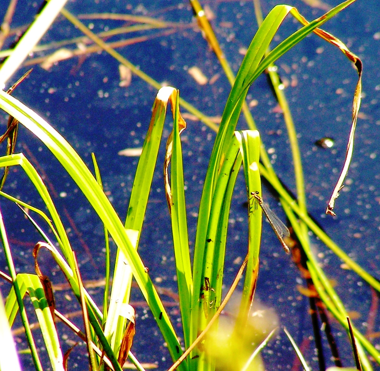 ?????????????????????????????