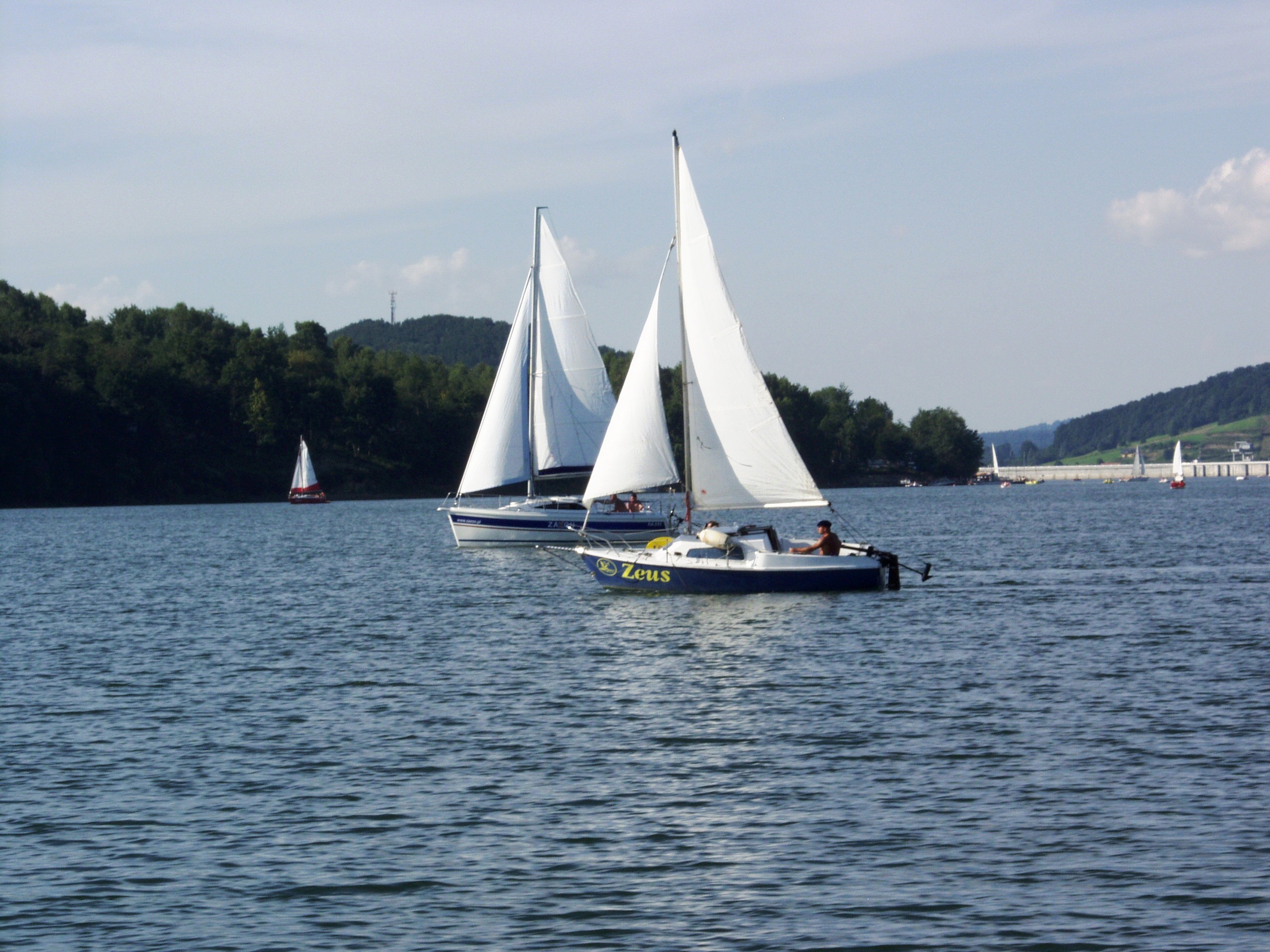 OLYMPUS DIGITAL CAMERA